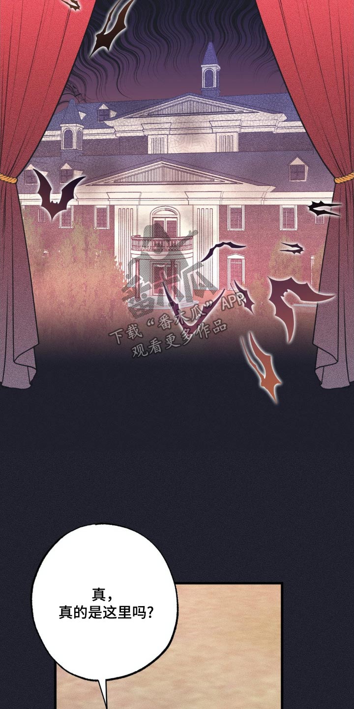 第117话4