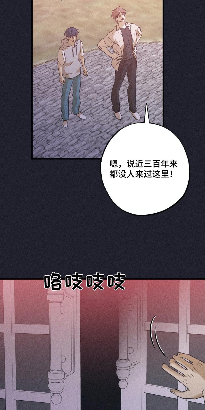 第117话5