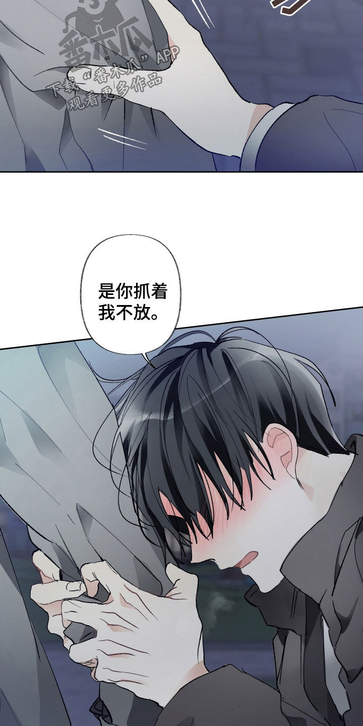 第80章：纠缠19
