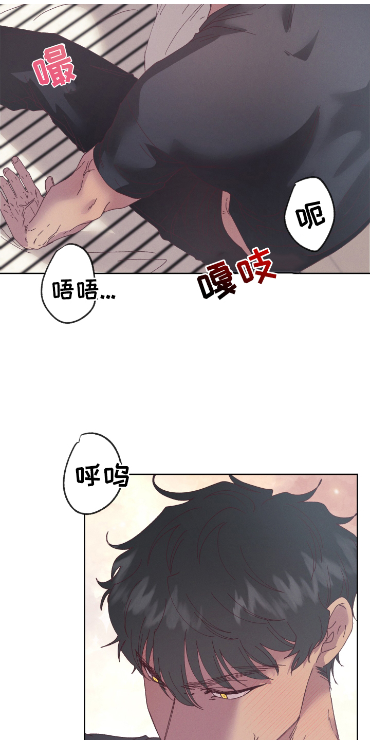 第64章：【第二季】让你看看12
