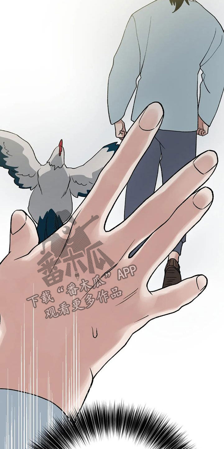 第104话8