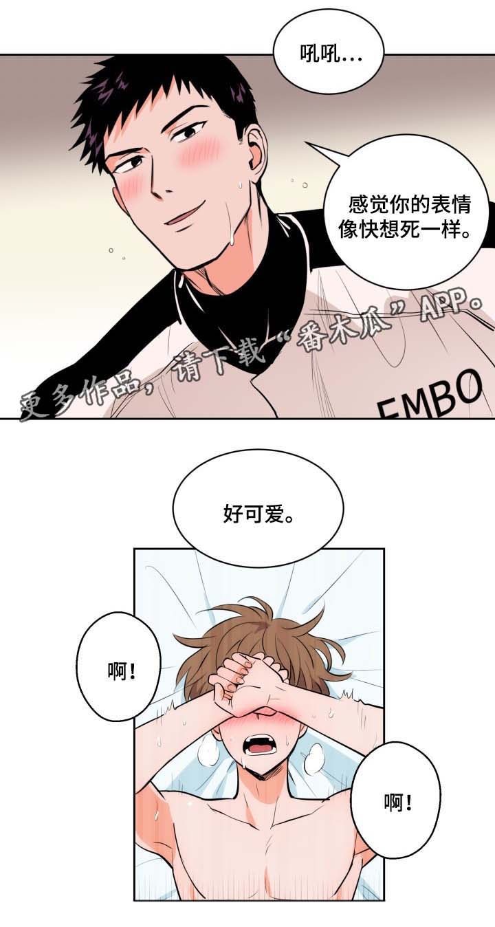 第79章：好像我喜欢上你了11