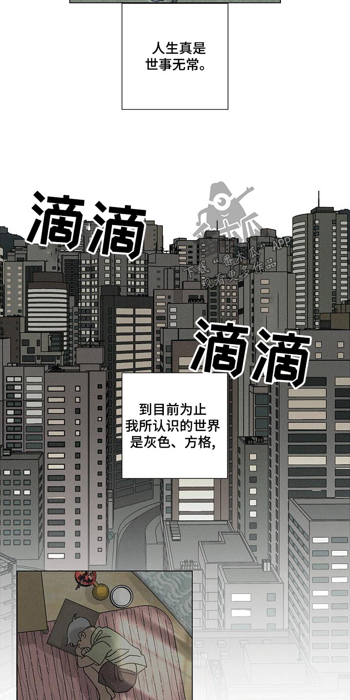 第75话12