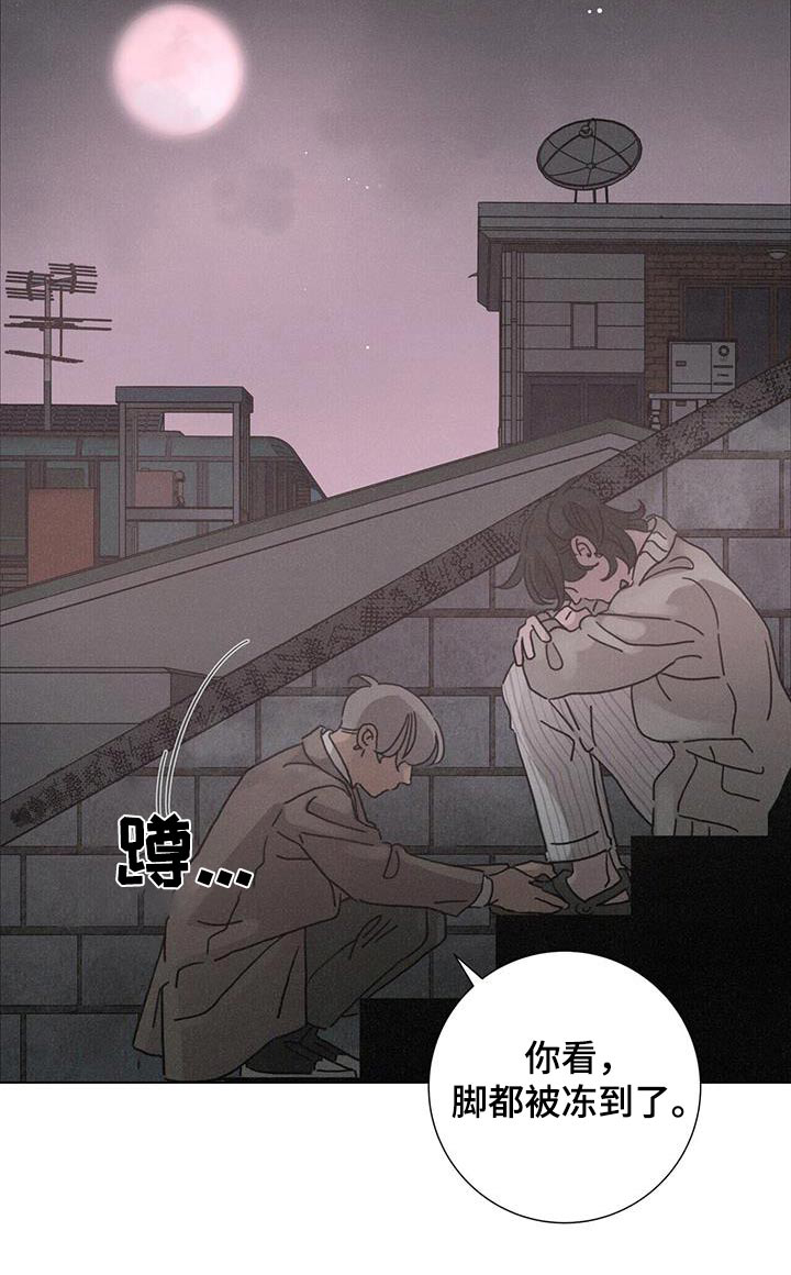 第71章：怎么做22