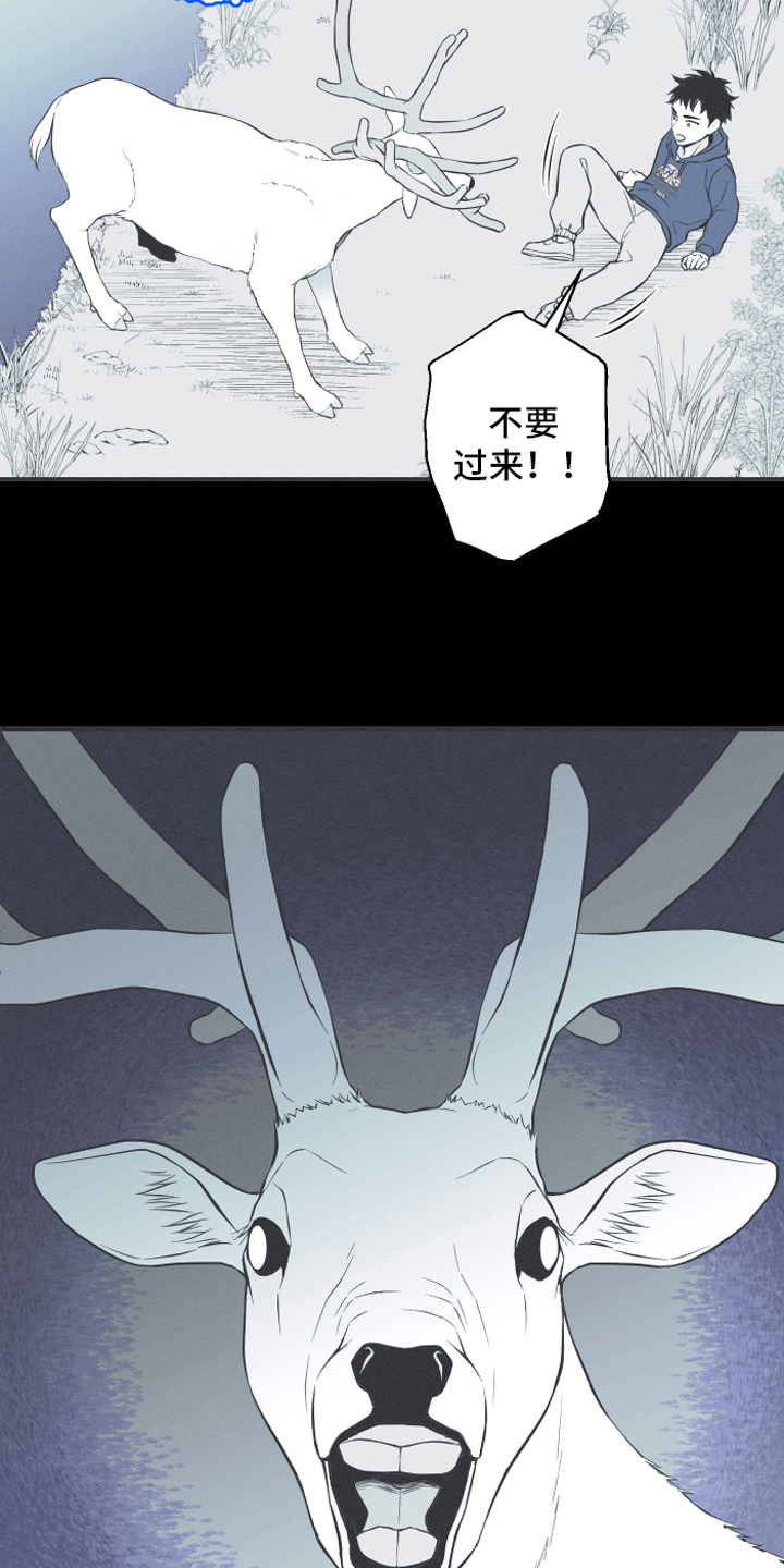 第18话12