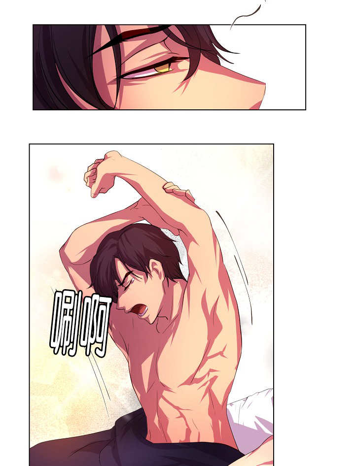 第6章：睡得真香0