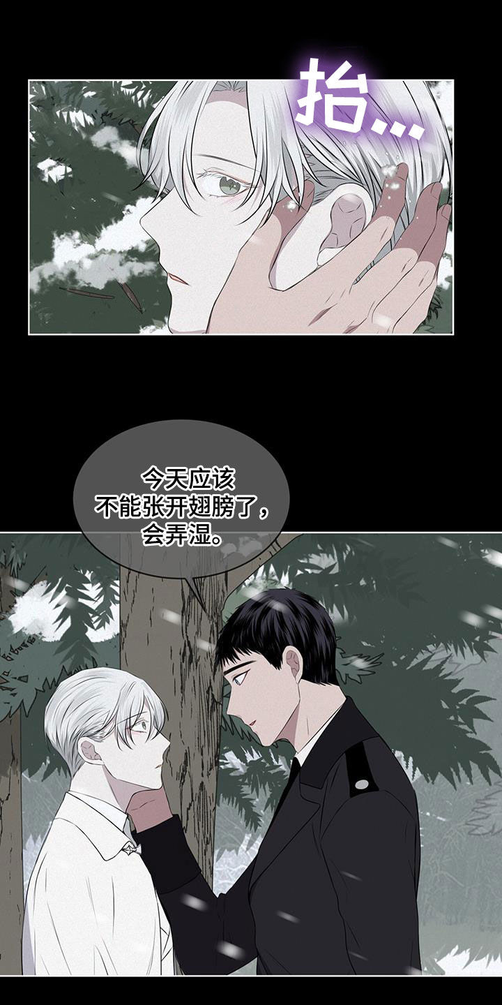 第68章：早已决定8
