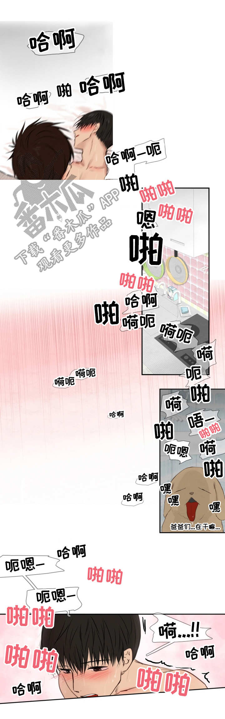 第17章：喊叫1