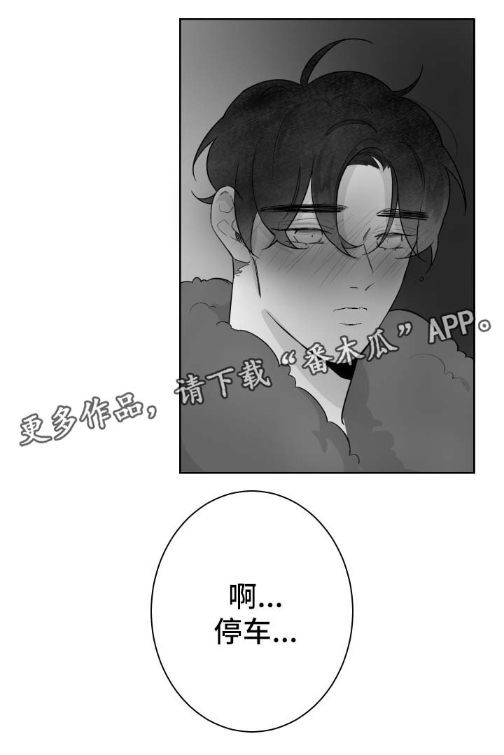 第62章：停车5