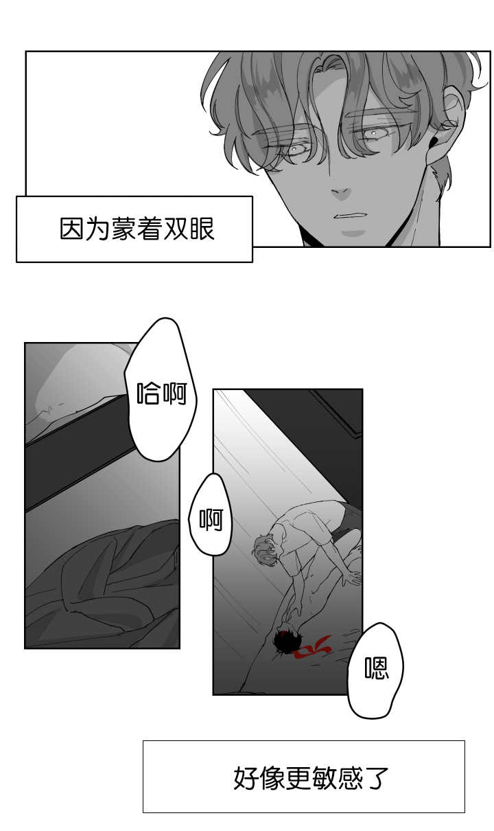 第3章：很温暖呢3