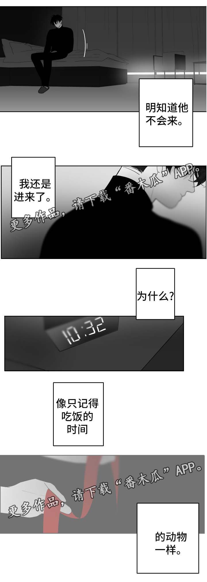 第57章：记忆4