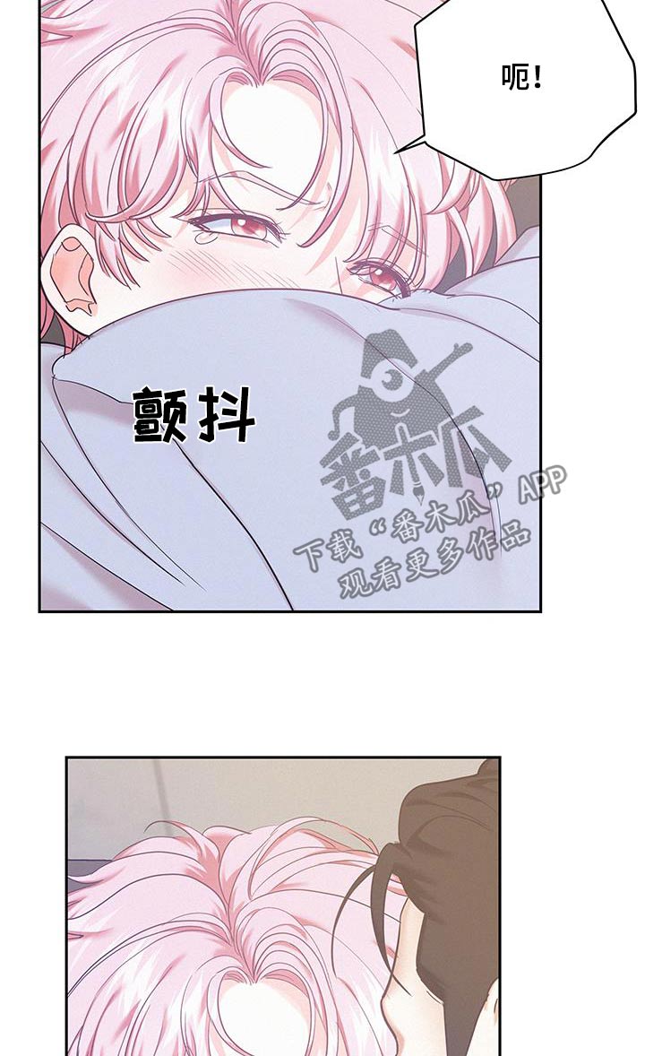 第126话4