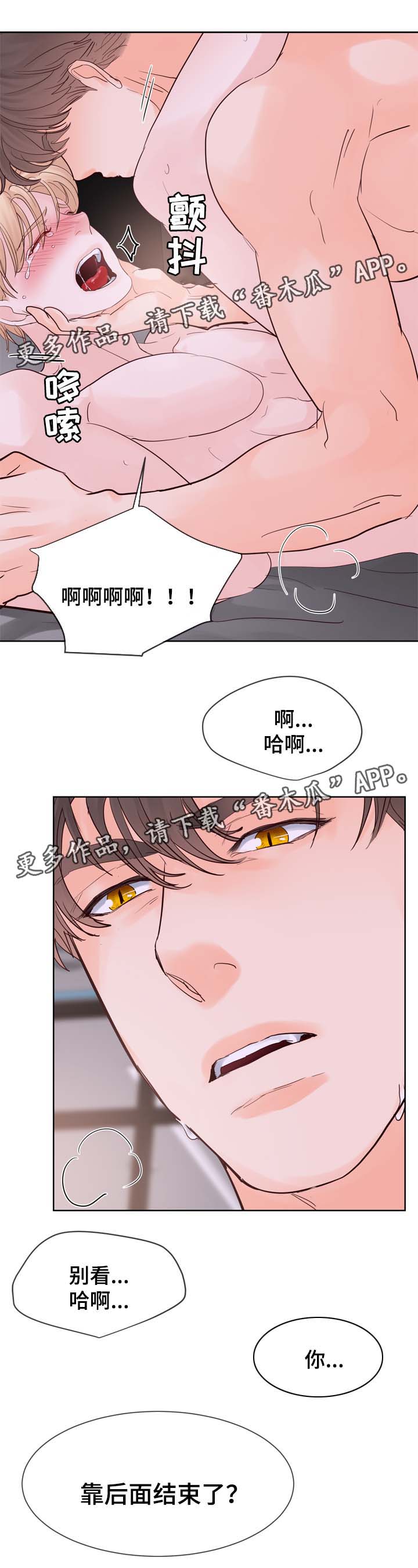 第92章：服从11