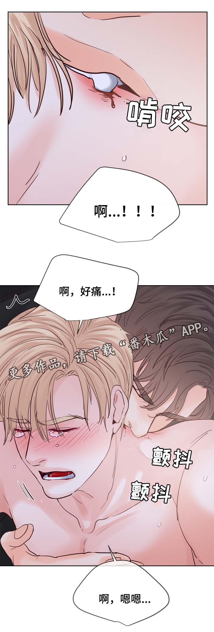 第92章：服从4