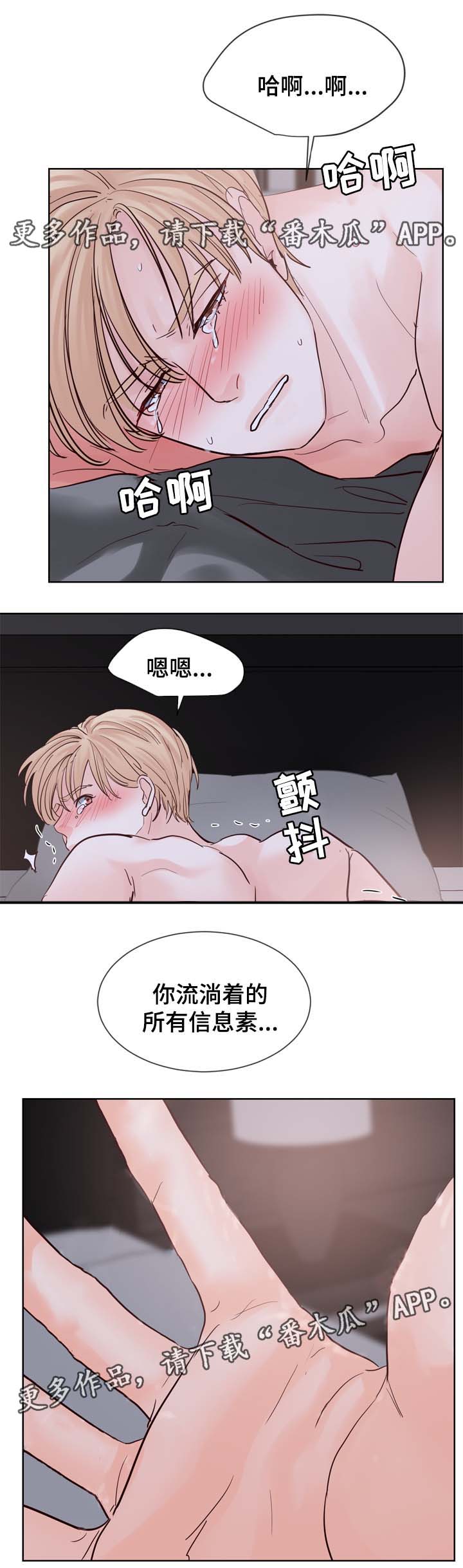 第92章：服从2