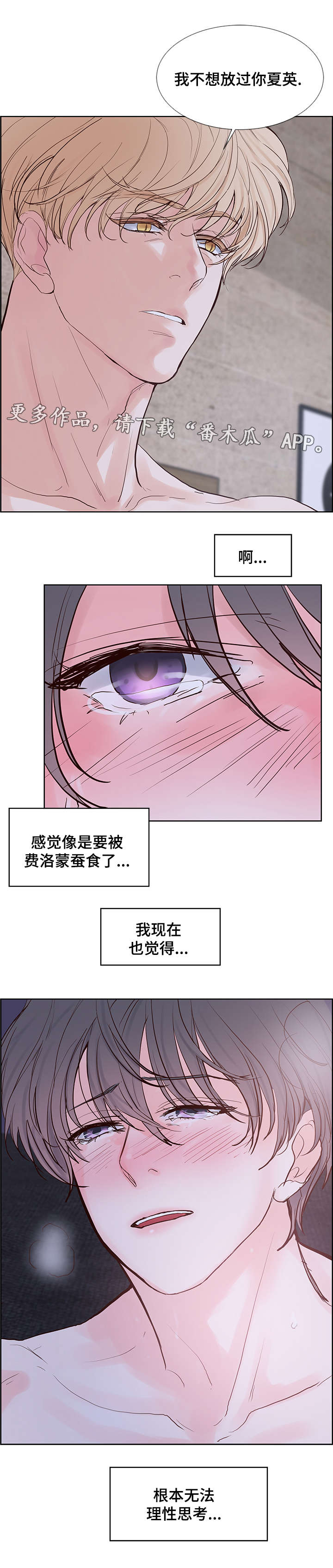 第58章：无法思考12