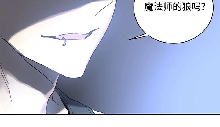 第19章：直觉5