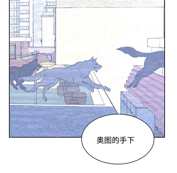 第19章：直觉7