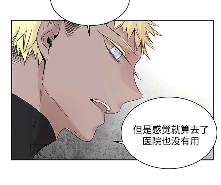 第19章：直觉15