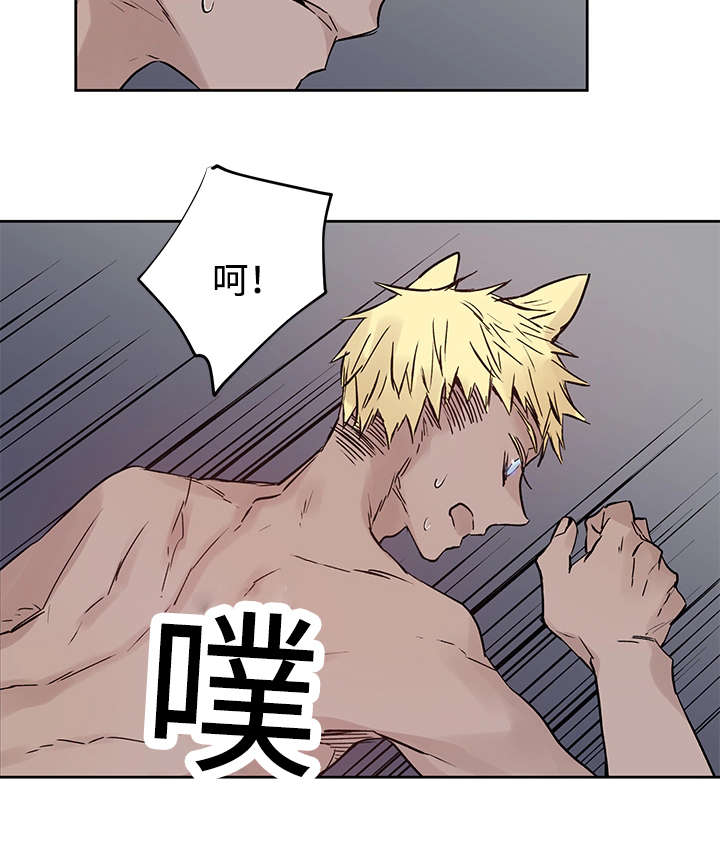 第11章：原来在那里8