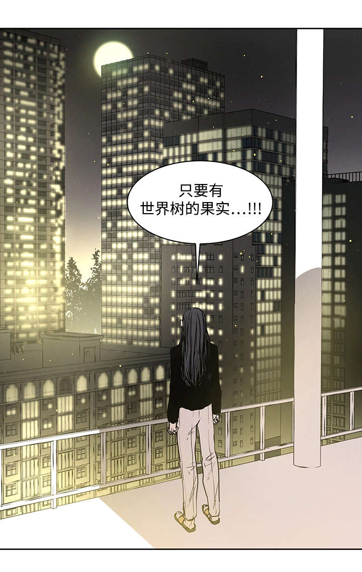 第4章：世界树果实18