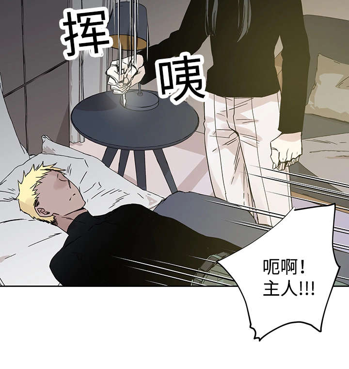 第6章：不能随便做5