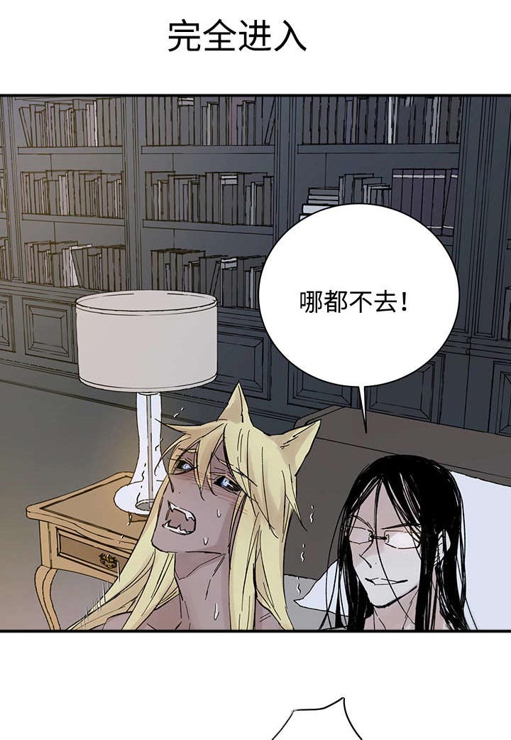 第28章：失去理性13