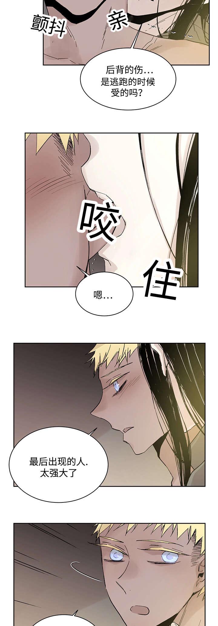 第21章：受伤返回13