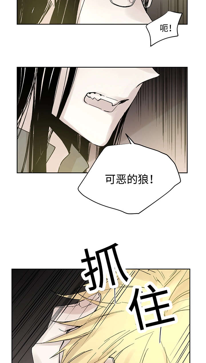 第24章：哪里听过10
