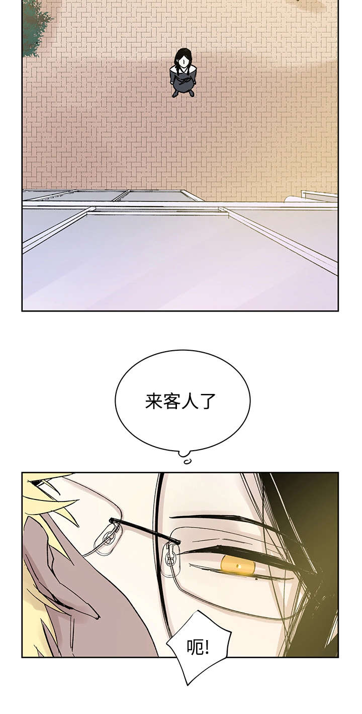 第14章：来客人了17