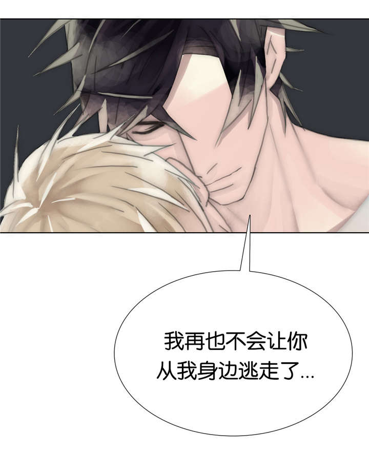 第65章：我一直都在5