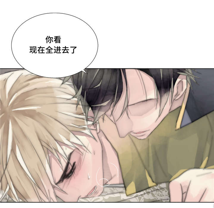 第18章：痛苦的体验13