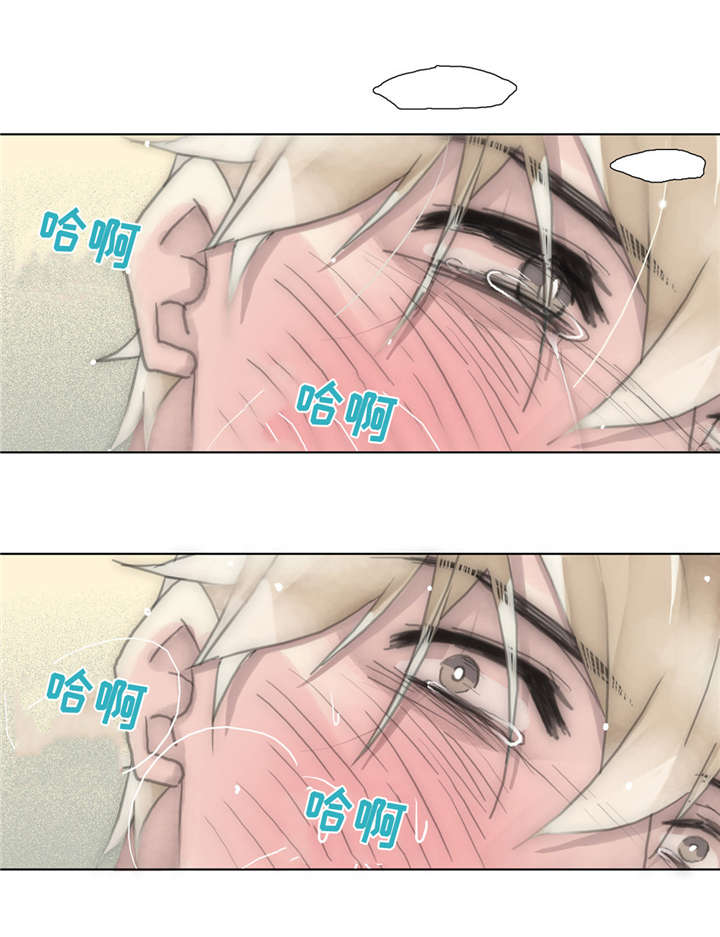 第52章：清洗16