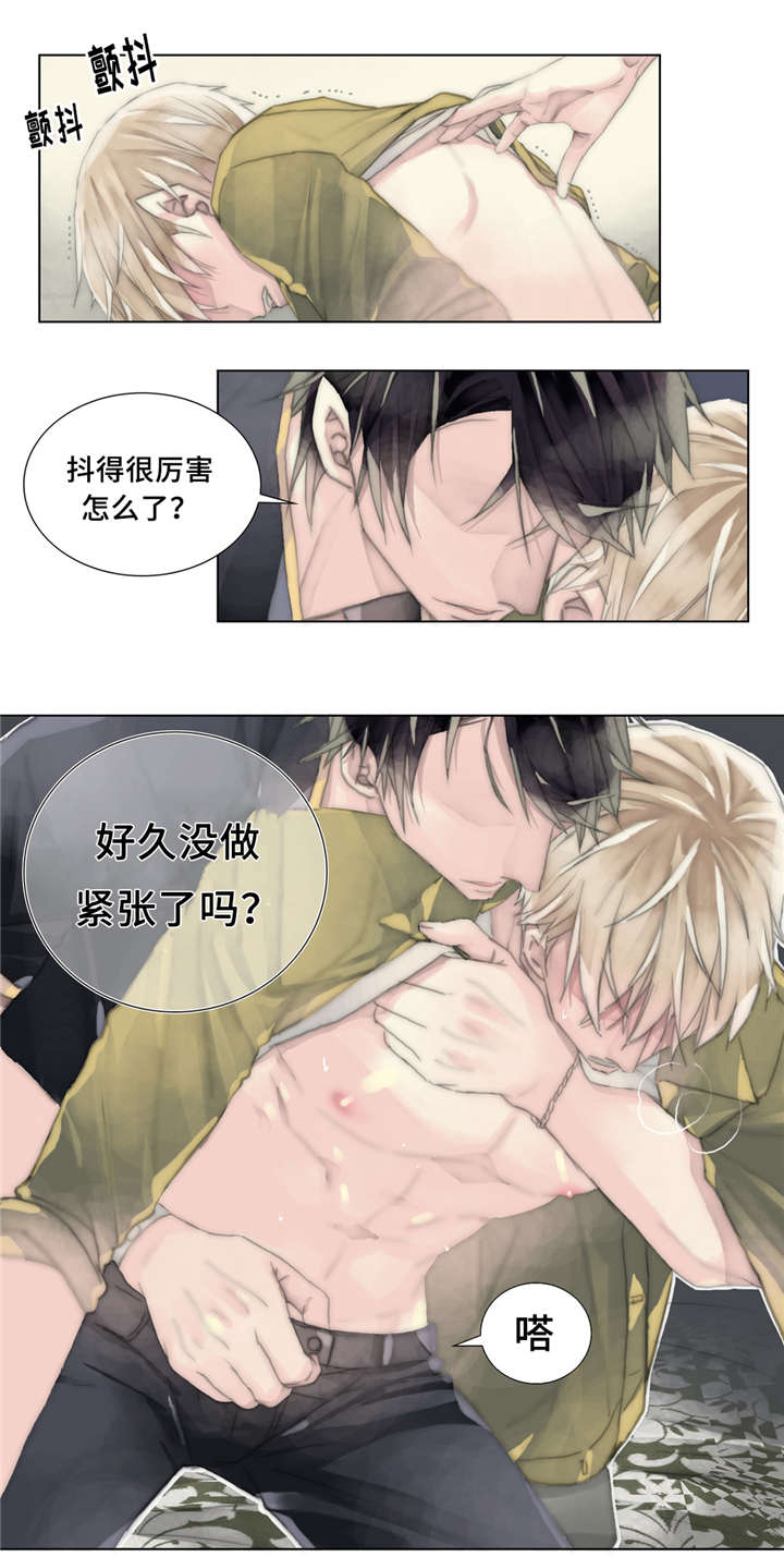第17章：代替11