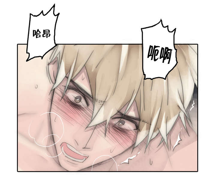 第61章：卑劣手段23