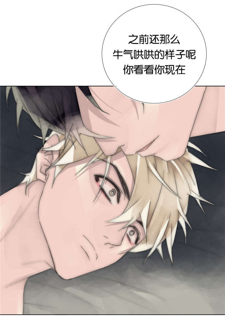 第63章：总算回来了2
