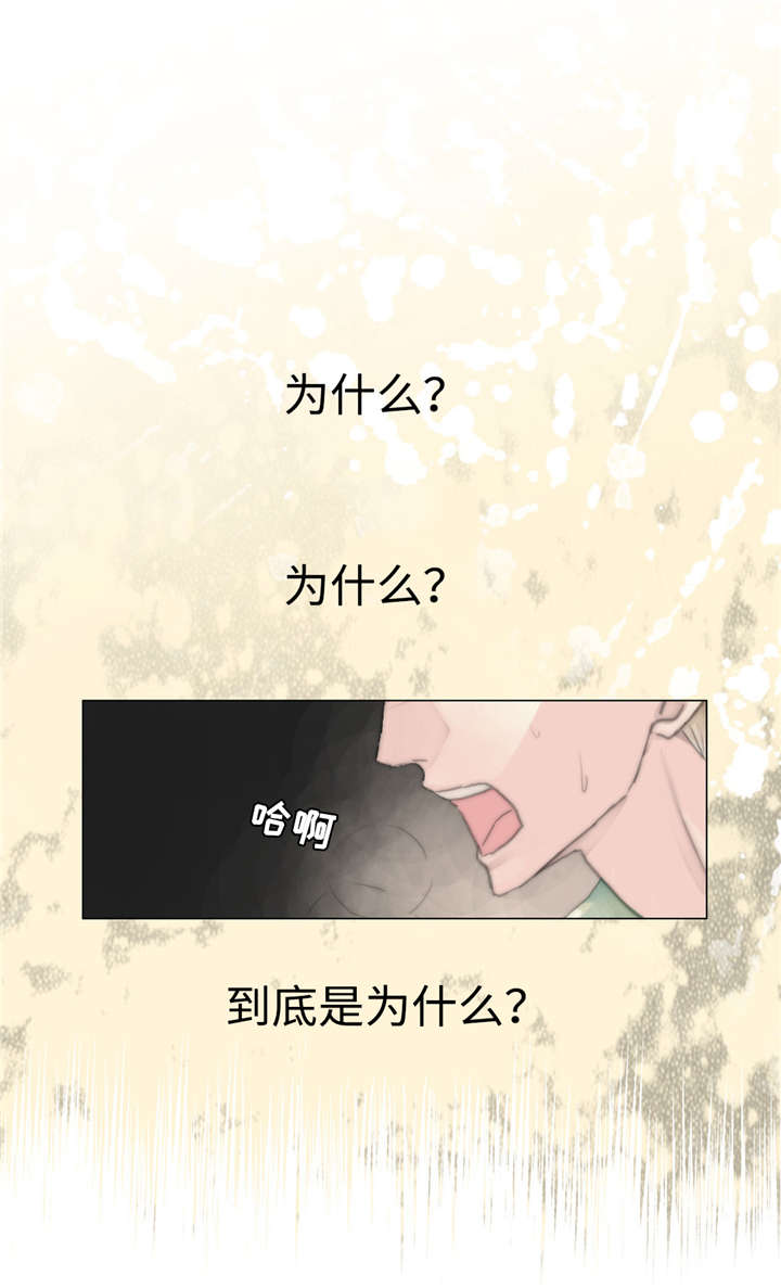 第8章：再次出现4