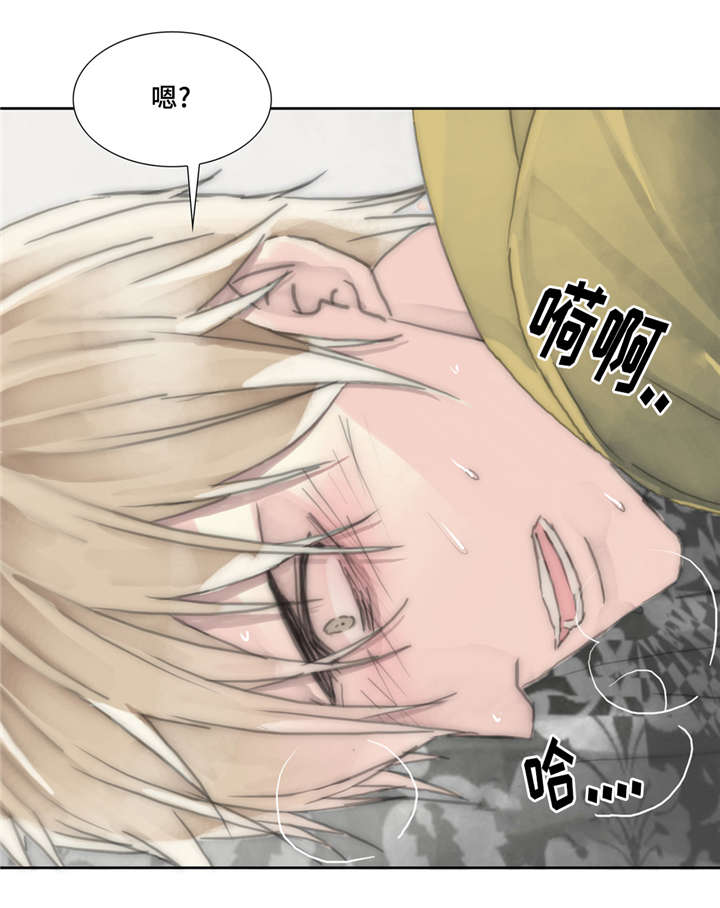 第18章：痛苦的体验9