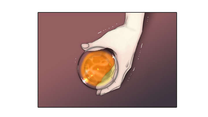第70章：重逢5
