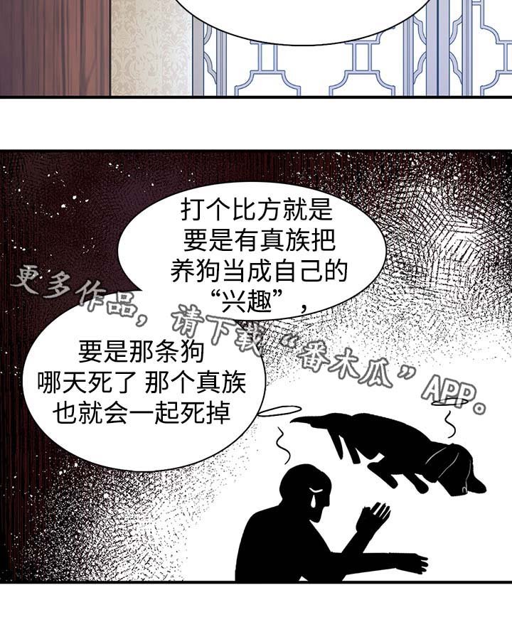 第99章：宣战5