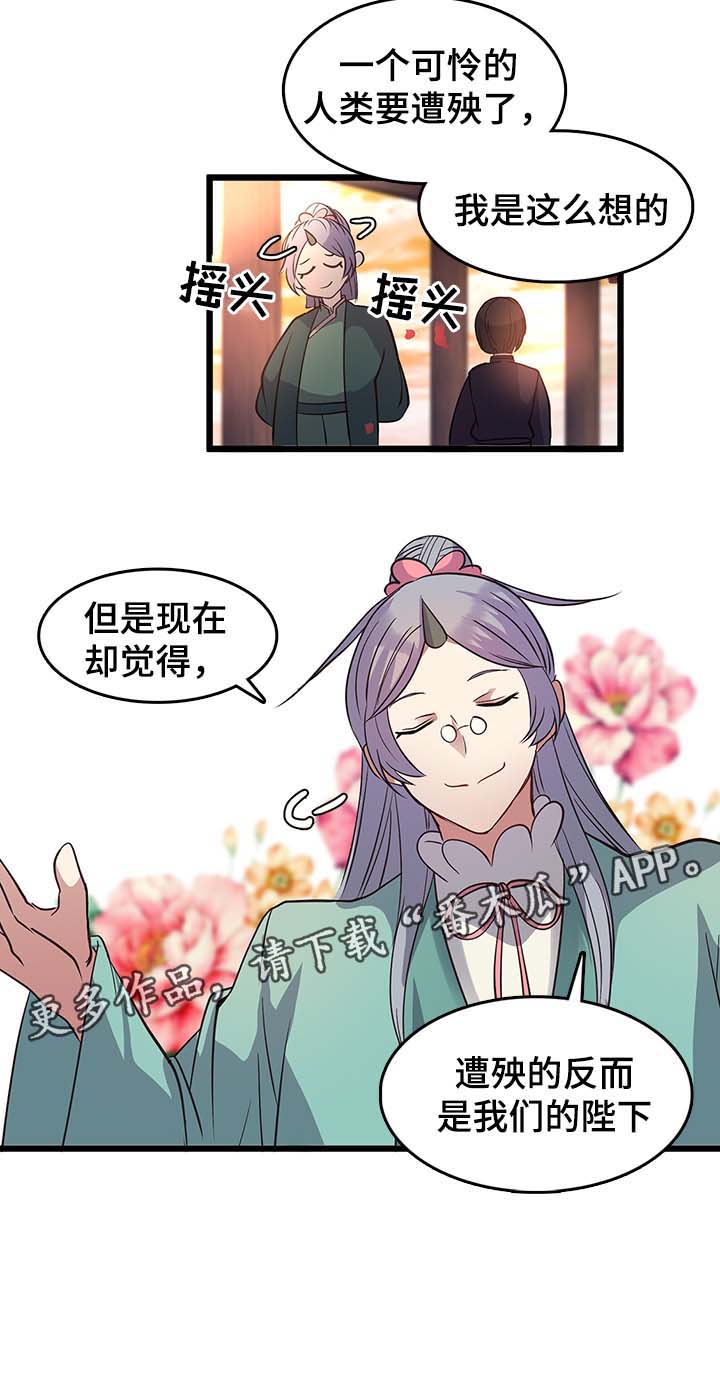 第114章：就说一句12