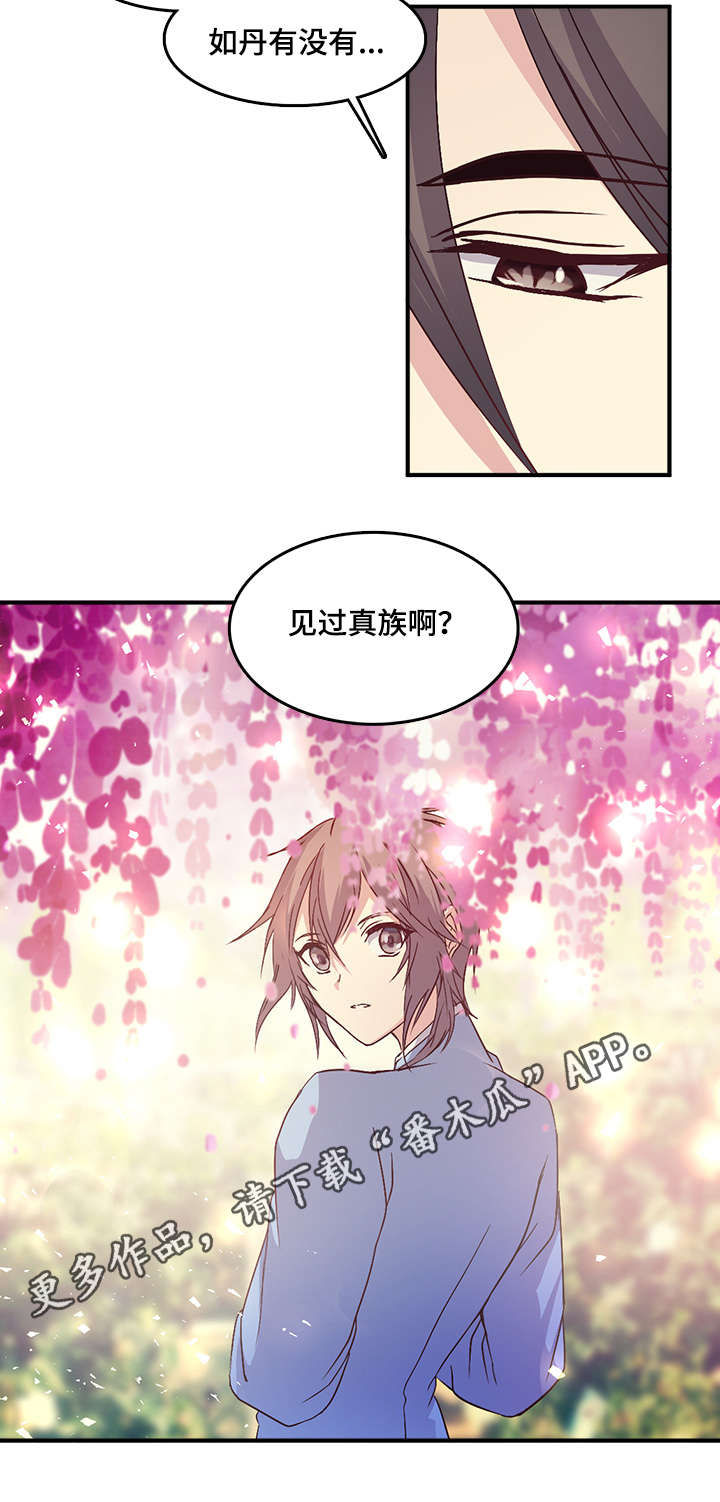 第76章：迷雾中的蓝天15