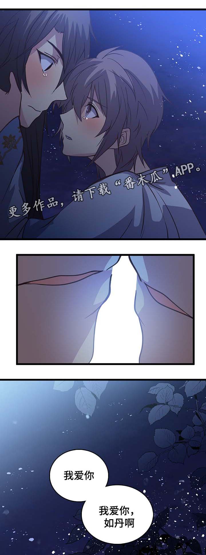 第112章：我爱你，如丹17