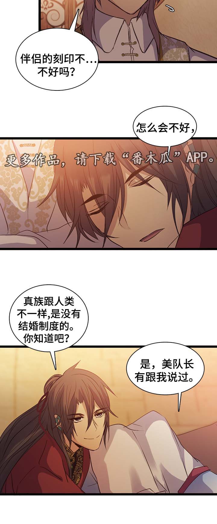 第139章：伴侣刻印13