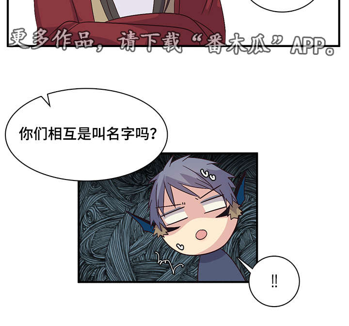 第79章：仅此而已6