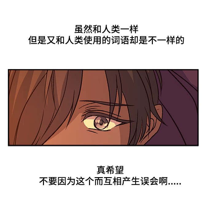 第36章：为我生个蛋17