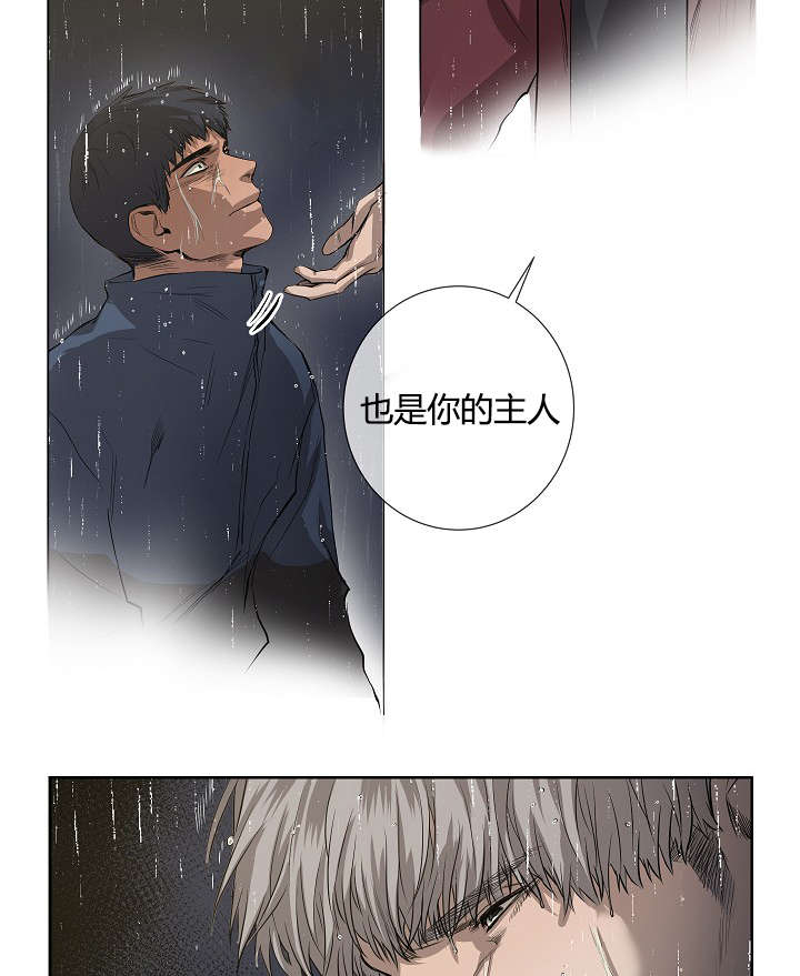 第39章：最后的战斗（下）33