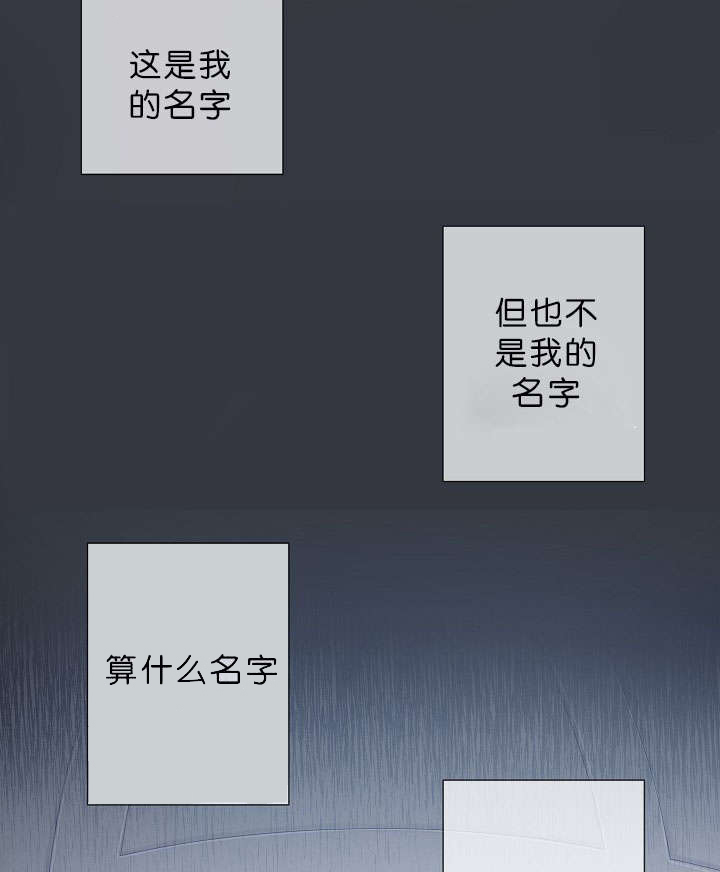 第17章：项目取消2