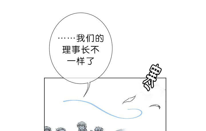 第17章：项目取消27