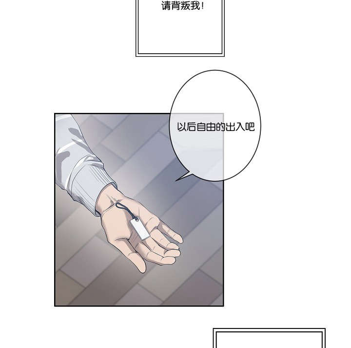 第31章：各种计谋3